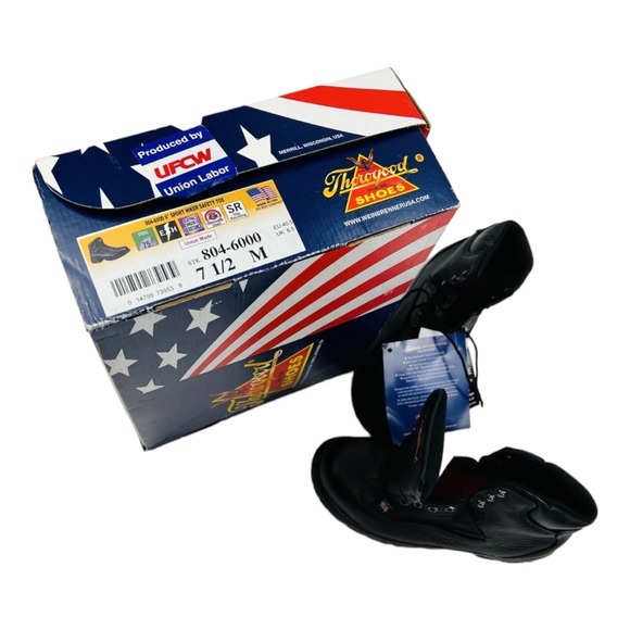 NWB Thorogood 804-6000 6\